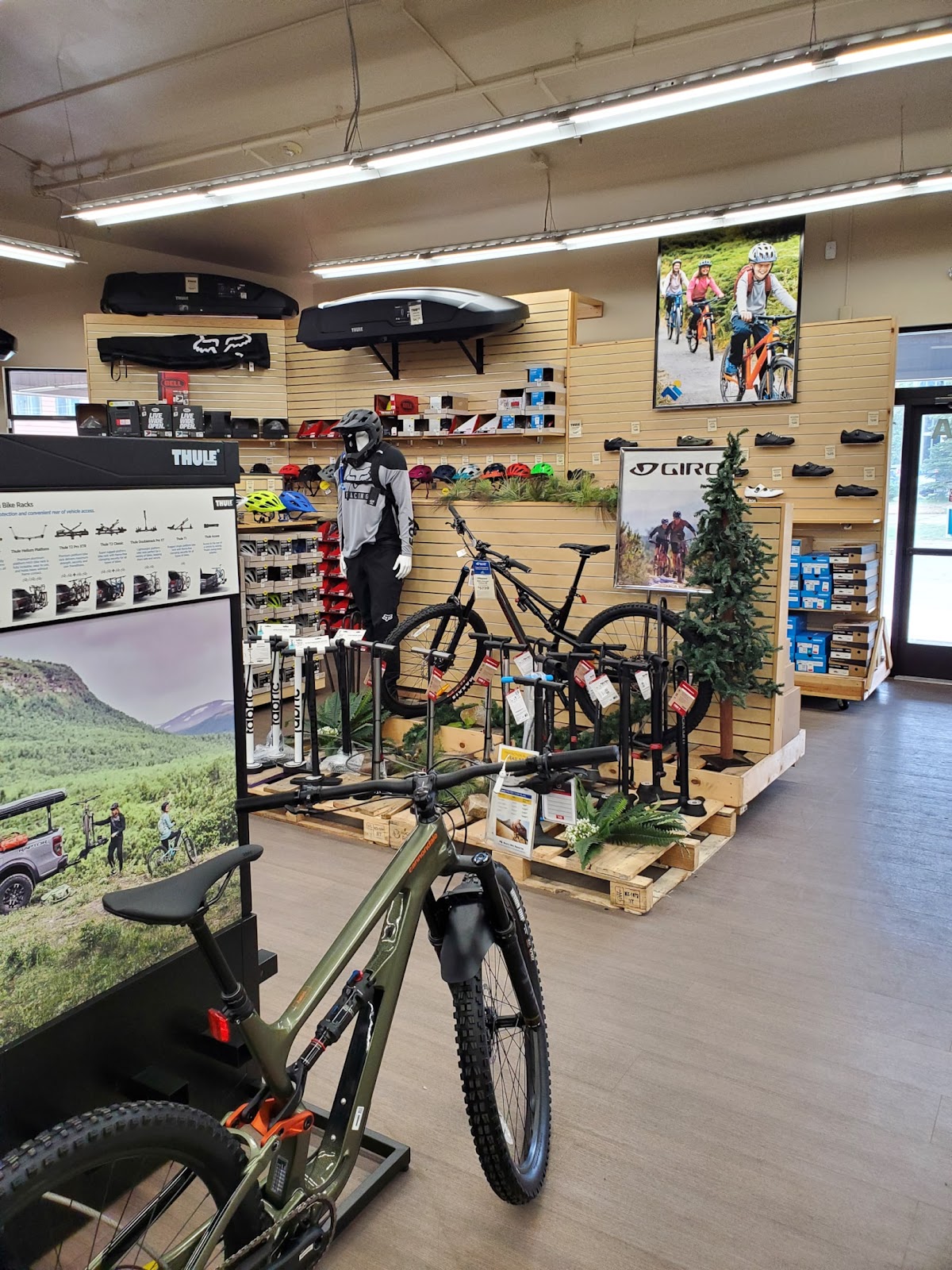 Bike Rentals in Dillon